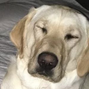 Meet your Posher, Kyra